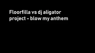 Floorfilla vs dj aligator project   blow my anthem video