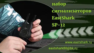 Набор сигнализаторов с пейджером EastShark SP-12 (4+1)