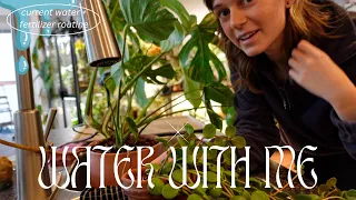 💧 water my houseplants with me💧 products I'm using, rearranging cabinet, + air plant troubles