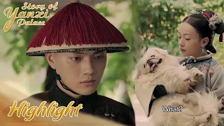 Highlight | Fu Heng jealous the dog? | Story of Yanxi Palace (延禧攻略) EP13 (MZTV)
