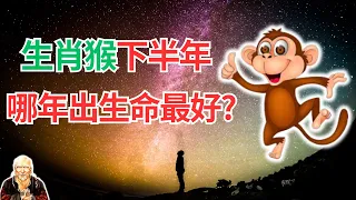 生肖猴，2024年下半年運勢，你真想不到！你是哪年出生？請對號入座，這是屬於你自己的運程！ #2024年生肖猴運程 #2024年屬猴人運勢 #2024年生肖猴運勢 #2024年屬猴人運程