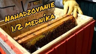 Nahadzovanie 1/2 medníka