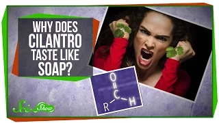 Why Does Cilantro Taste Like Soap?