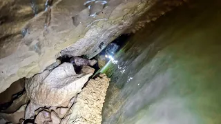 Blue Spring Cave Turns To Claustrophobic Nightmare