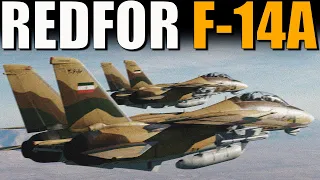 AGGRESSORS The Most Realistic DCS Milsim needs a Bad Guy! | F-14A Tomcat | Digital Combat Simulator