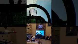 Ace Combat 7 VR using thrustmaster Hotas 4 on PS4 is very realistic