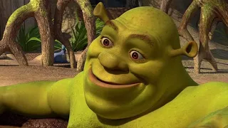 the entire shrek movie but sped up 8x