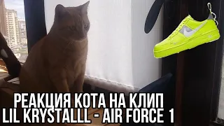 Мой кот смотрит клип lil krystalll - Air Force 1