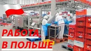 Работа в Польше на птицефабрике