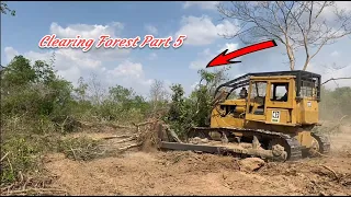 Nicely Dozer Clearing Forest Step by Step, Clearing the Land Project by Big Dozer EP5