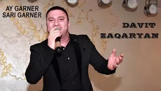 Davit Zaqaryan - Ay garner, sari garner