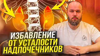 Надпочечники и усталость. Как избавиться