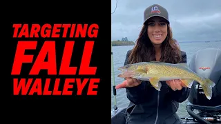 Lake Vermilion Walleye Fishing Fall: Tactics and Catches