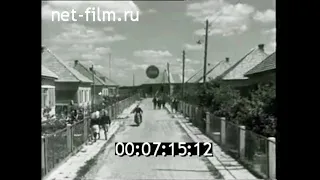 1968г. колхоз Комсомолец с. Березовичи Владимиро-Волынский район Волынская обл