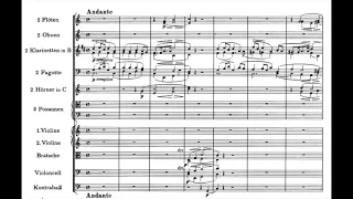 Johannes Brahms - Symphony 3 (Andante) Clarinet Solo - Davide Bandieri