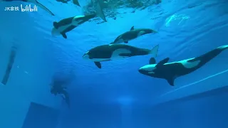 Chimelong Spaceship Underwater Viewing