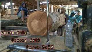 Masih anget, Tebang lgsung dilirik juragan.Gergaji Kayu Jati super mewah produksi Kusen Papan Jeneng