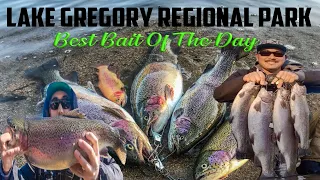 LAKE GREGORY | BEST BAIT OF THE DAY | BIG TROUT