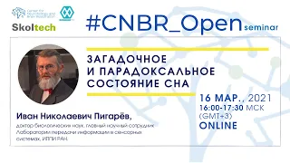 Парадоксальное и загадочное состояние сна. Иван Н. Пигарёв в #CNBR_Open Seminar