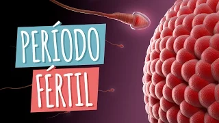 PERÍODO FÉRTIL: Como calcular