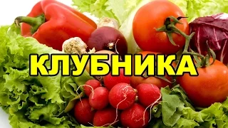 Природное земледелие. Клубника