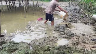 Drain the fish pond to catch giant fish. rebuild farm #1