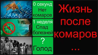 Что если КОМАРЫ исчезнут?