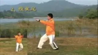 James Fu Qing Quan - 28 form - Authentic Yang Family Tai Chi Chuan