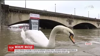 У французькій столиці вийшла з берегів Сена