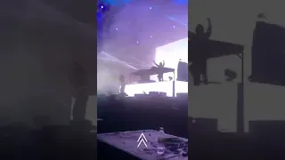 Alan walker live concert Chennai