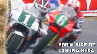 1989 250cc Bike GP | Round 3 | USA | Laguna Seca