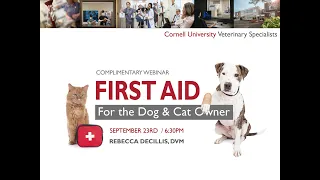 First Aid for the Dog and Cat Owner