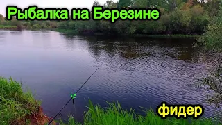 Рыбалка на Березине . Рыбалка на фидер на реке в Беларуси.