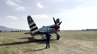 Hawker Sea Fury at Roudnice LKRO