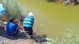 Catfish fishing with worms