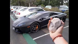 verrückter junge wirft Stein auf Lamborghini Aventador
