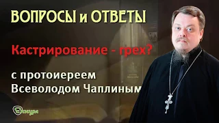 Кастрирование животных грех? Прот. Всеволод Чаплин