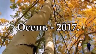 Осень 2017 г.  с.Пески, Поворинский р-он, Воронежская обл.