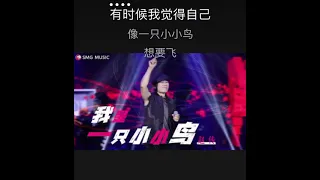 我是一只小小鸟 赵传 卡拉OK伴奏 karaoke