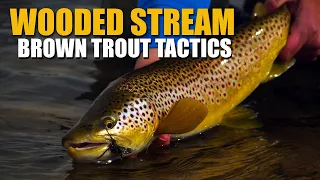 Brown Trout Stream Tactics - Spring Fly Fishing Dry Flies, Streamers & Nymphs in a Wooded Stream