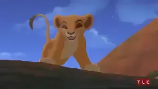 Le Roi Lion Simba dessin animé film complet en francais pour les enfants.