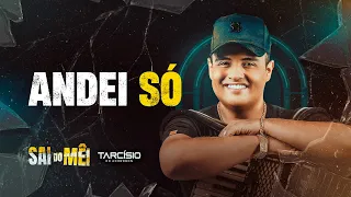 ANDEI SÓ - Tarcísio do Acordeon (CD Sai do Mêi)