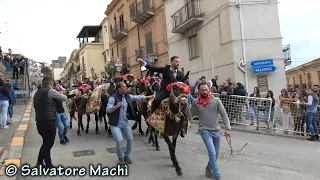 Vicari (PA) - Sfilata equestre - 1^ parte - 2019