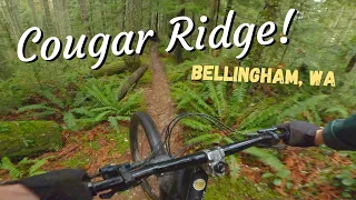 Cougar Ridge in Bellingham, WA - Sick Gnarly Downhill!