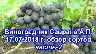 Виноградник Саврана А П  17 07 2018 часть 2