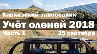 Учёт оленей 2018 в Кавказском заповеднике. Часть 1.