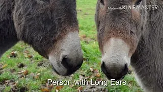 Carnival of the animals- Personnages a Longues Oreilles (Person with long ears) Saint-Saens