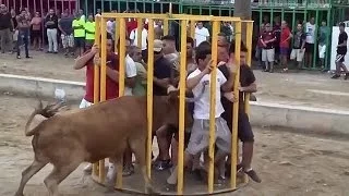 Funny Videos Bull Fighting 2016,Try Not to Laugh