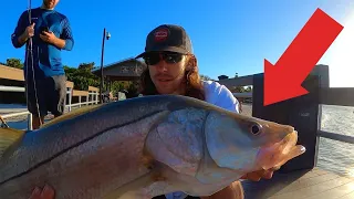 Eating Whatever We Catch from this Pier - Fishing Florida 🌴