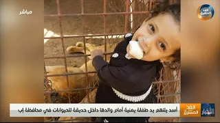 أسد يلتهم يد طفلة يمنية أمام والدها داخل حديقة للحيوانات في محافظة إب